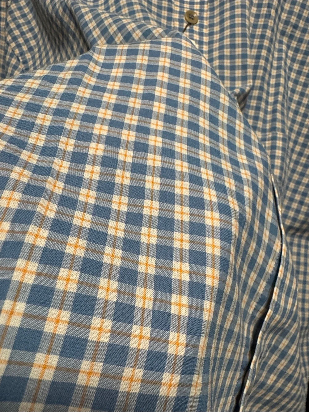 Banana Republic Blue and White Check Cotton Button-Down Shirt